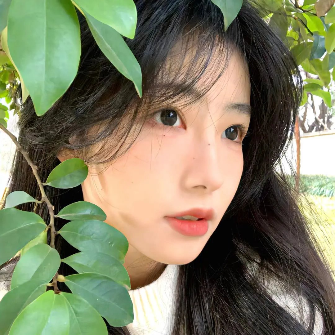 太极旗飘扬